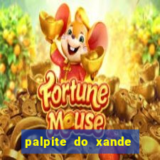 palpite do xande de hoje